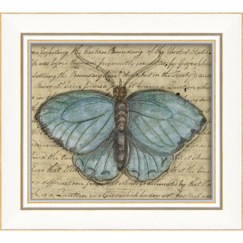 « papillon », impression encadrée, Bleu