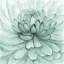 Fleur turquoise - reproduction encadrée pour la décoration de chambre à coucher
