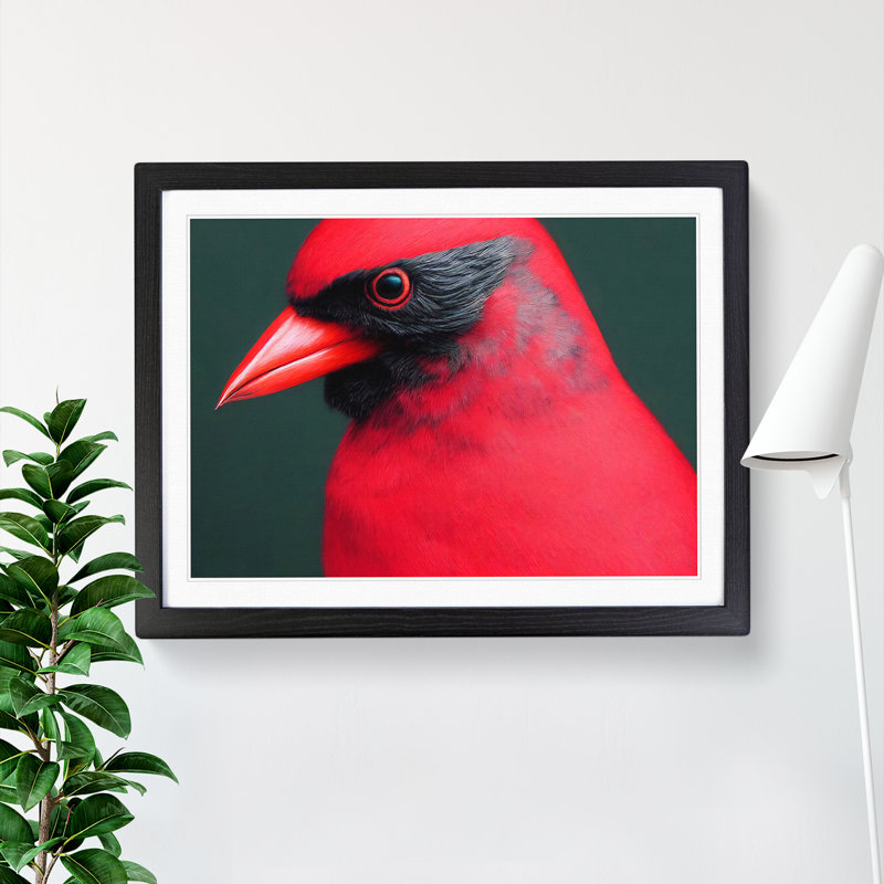 Cardinal Bird Vol.17 - Single Picture Frame Print, 34cm H x 46cm W x 2cm D, Black Framed