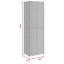 Armoire de rangement d'extérieur de 71 pouces de hauteur, 2 portes, rotin gris