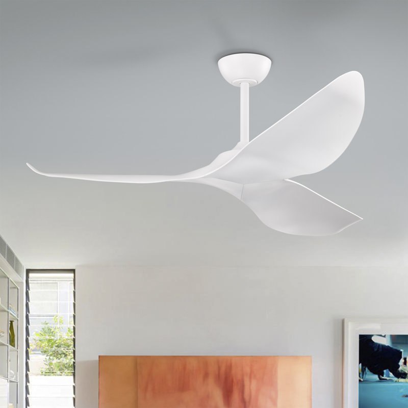 Duncan Modern 3 Bladed Ceiling Fan With Remote, White, White