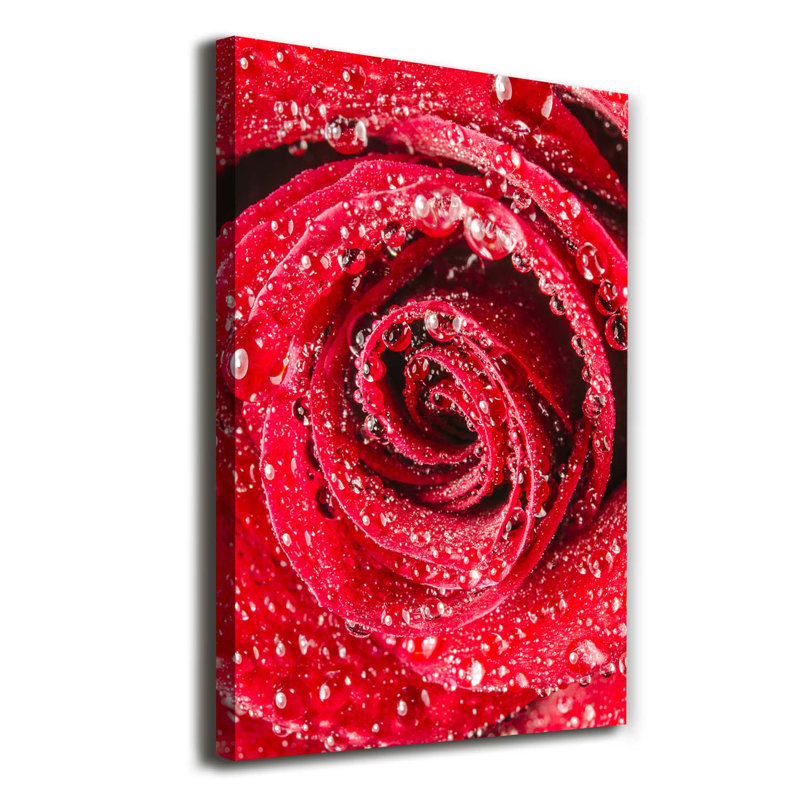 Red Rose - Wrapped Canvas Print
