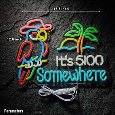 Parrot Its 5 00 O'certains Some Where Enseigne au néon pour décoration murale alimenté par USB à 5 heures avec barre de lumière DEL
