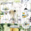 Bellen Glass Hanging Birdbath