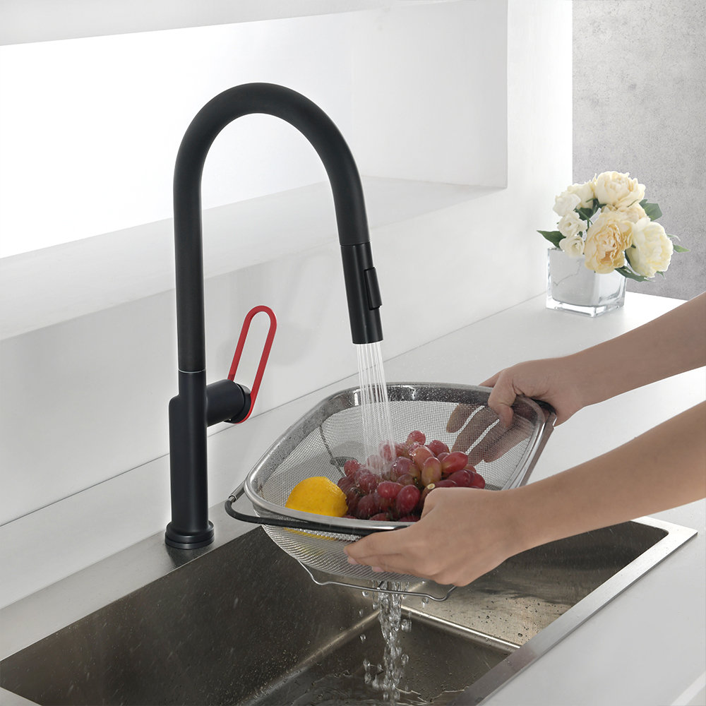 NEWATER Pull Down Kitchen Faucet NEWATER