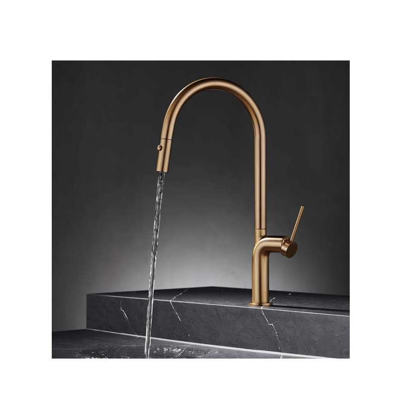 AvaMalis Pull Out Kitchen Faucet, Rose Gold