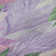 Premium Machine Washable Sykora AMF1493 Floral Rug
