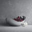 Bloom Fruit Bowl-46556797