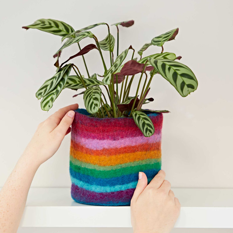 Plant Stand, Rainbow