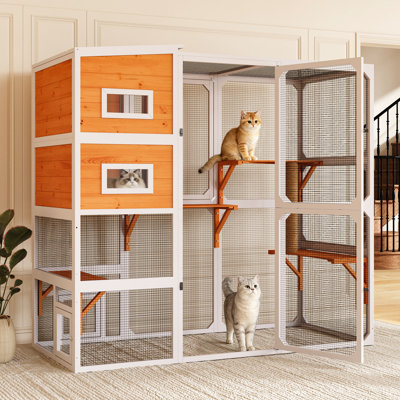 Weatherproof Wooden Outdoor Catio For Multiple Cats With Resting Box And Platform