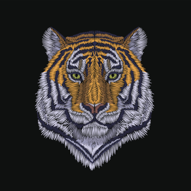 Tiger Head - Wrapped Canvas Print, 30cm H x 30cm W x 3.8cm D