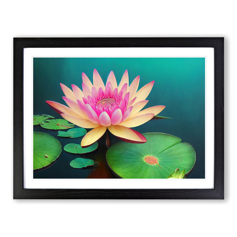 Attractive Water Lily Flower - Single Picture Frame Painting, Black, 46cm H x 64cm W x 2cm D
