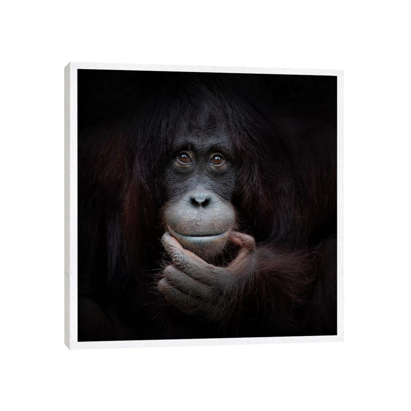 The Mirror Image by Antje Wenner-Braun - Print on Canvas, 45.72 cm H x 45.72 cm W, White Framed