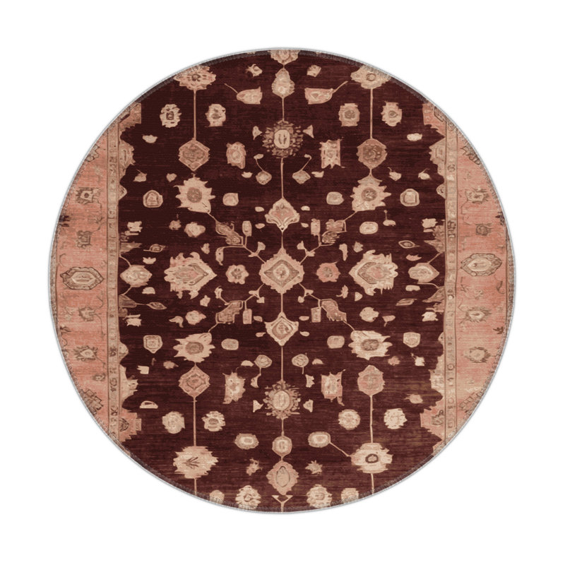 Overdyed Brown Indoor and Outdoor Area Rug, Round 5'