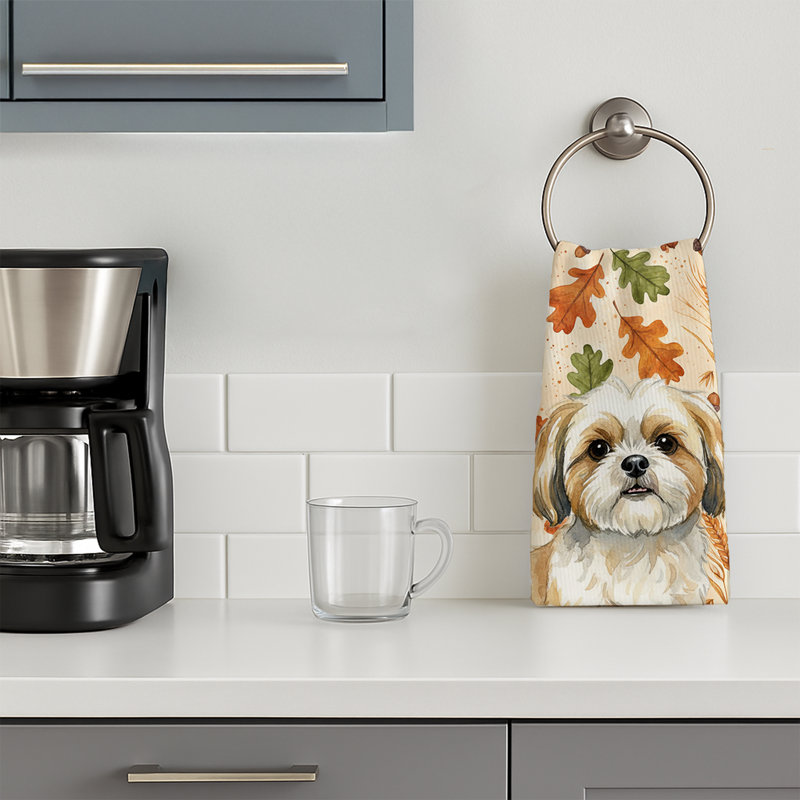 Torchon doré et blanc Shih Tzu, Gold and White Shih Tzu