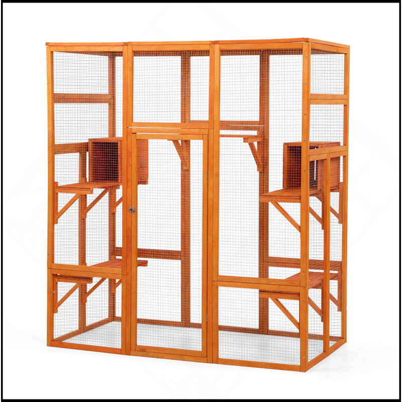 Grande enceinte pour chat avec 5 perchoirs, 2 condos et 1 porte verrouillable, Orange
