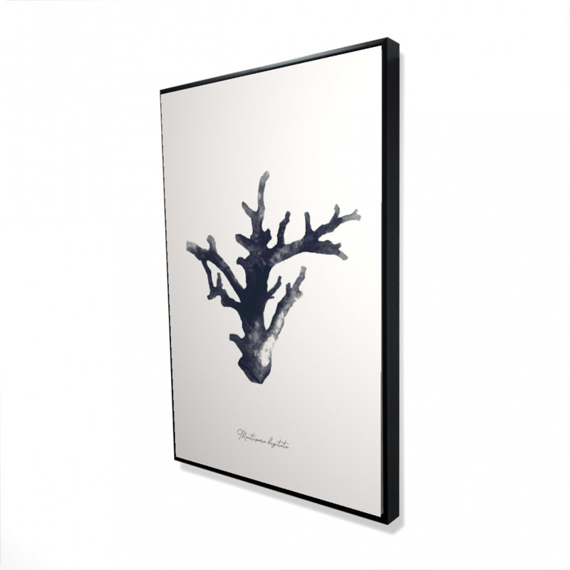 "Montipora Digitata" sur toile, H 36 po x l 24 po