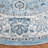 Delmer Performance Oriental Rug-987249070