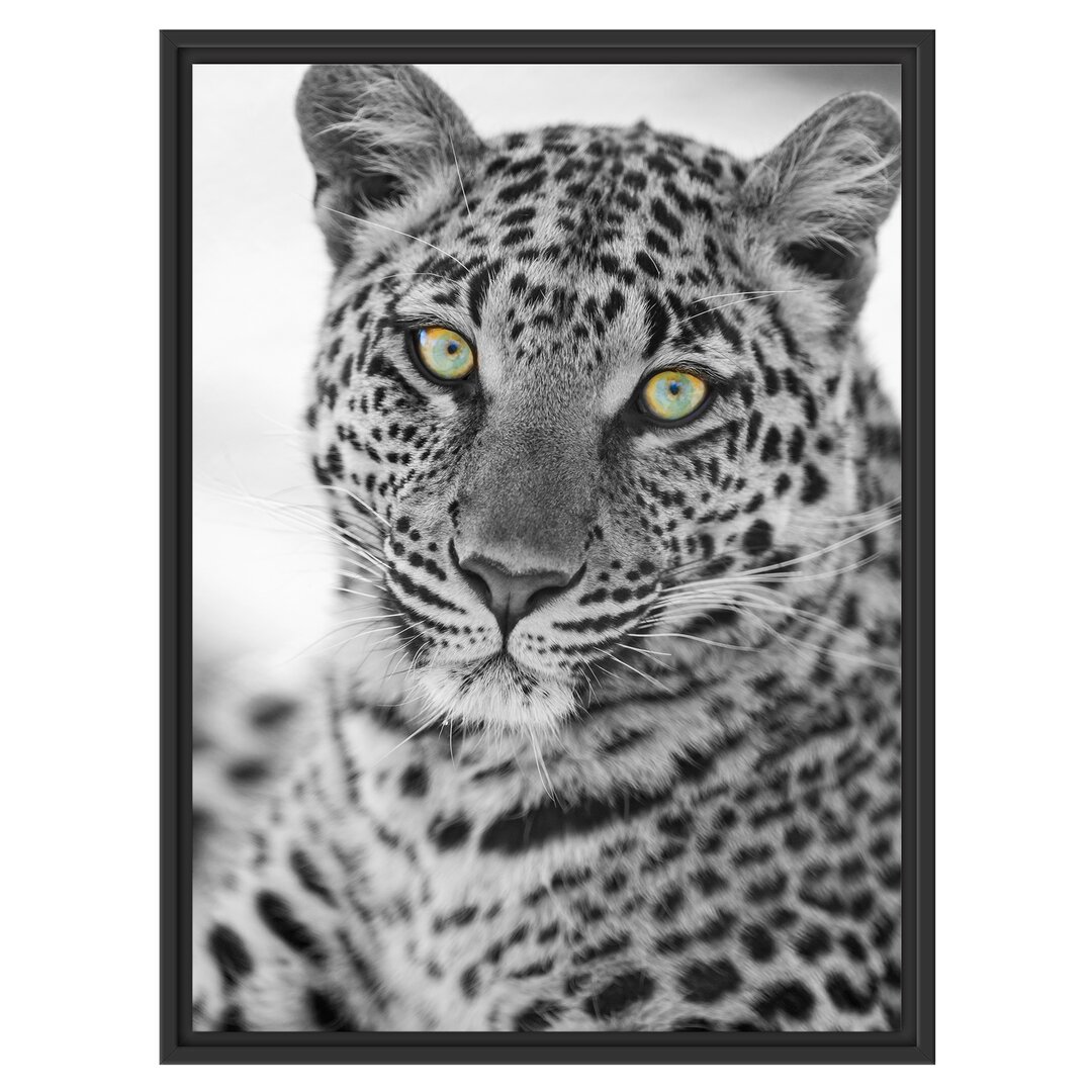 Gerahmter Fotodruck Beautiful Leopard