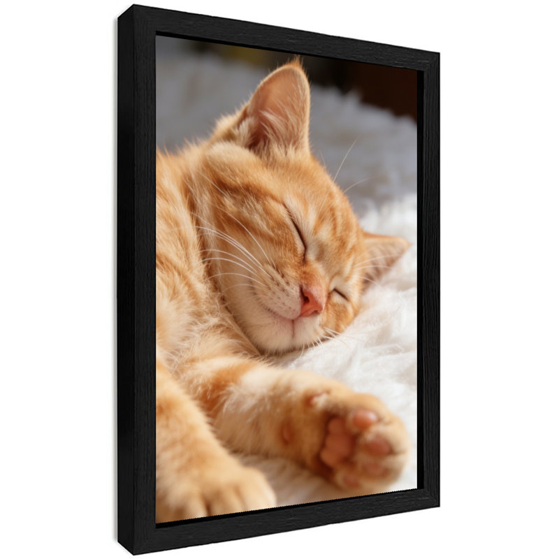 Reproduction d'art encadré noir avec joli chat orange, H 17 po x l 13 po