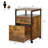 Eck 16'' Wide 2 -Drawer Mobile File Cabinet