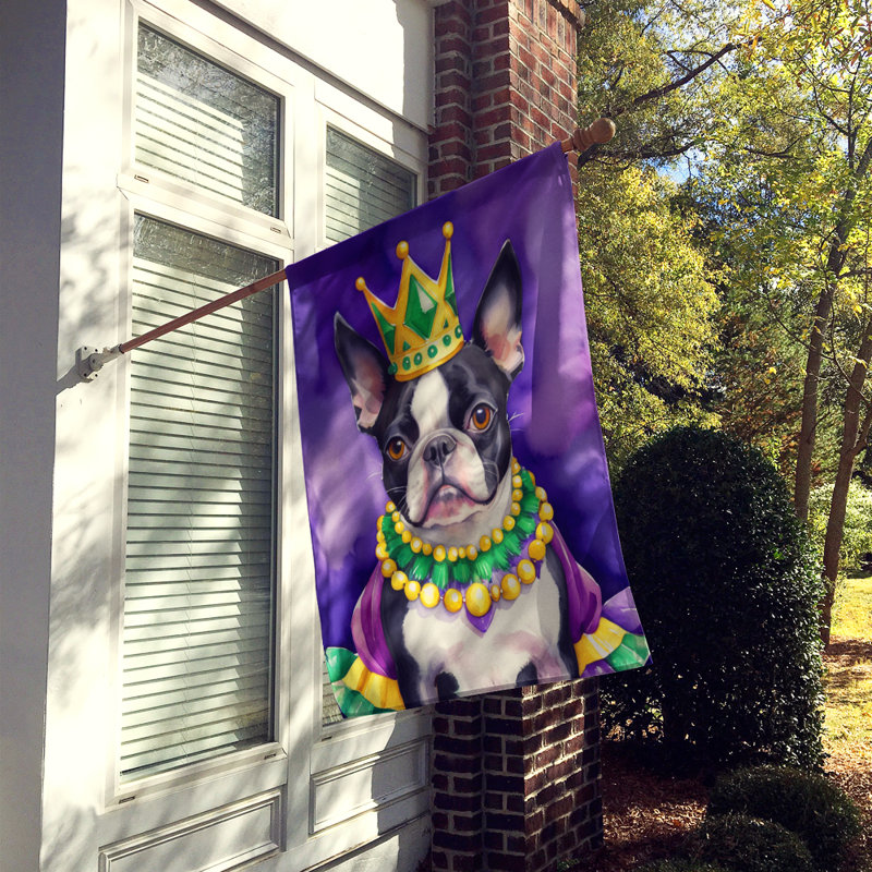 Drapeau du jardin Boston Terrier King of Mardi Gras