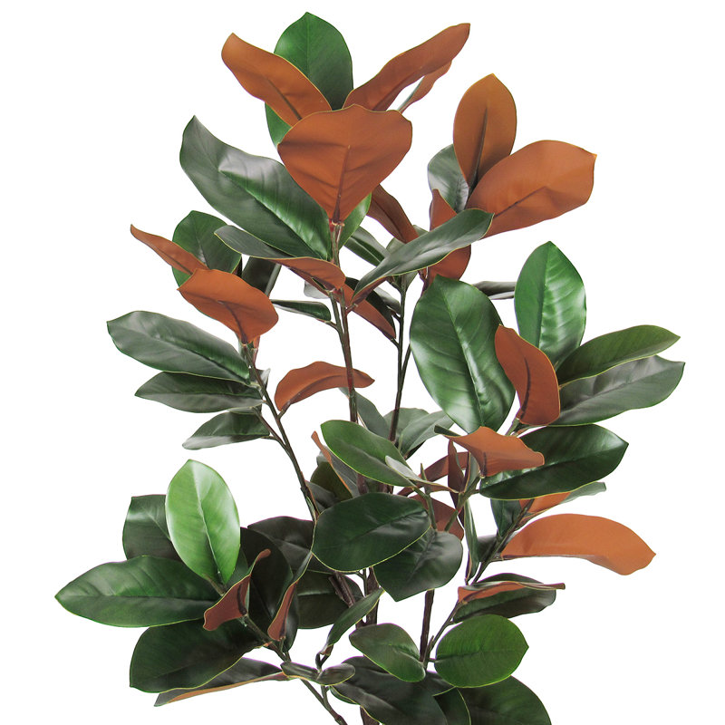 Faux Magnolia Plant in Pot, 48" H x 25" W x 25" D