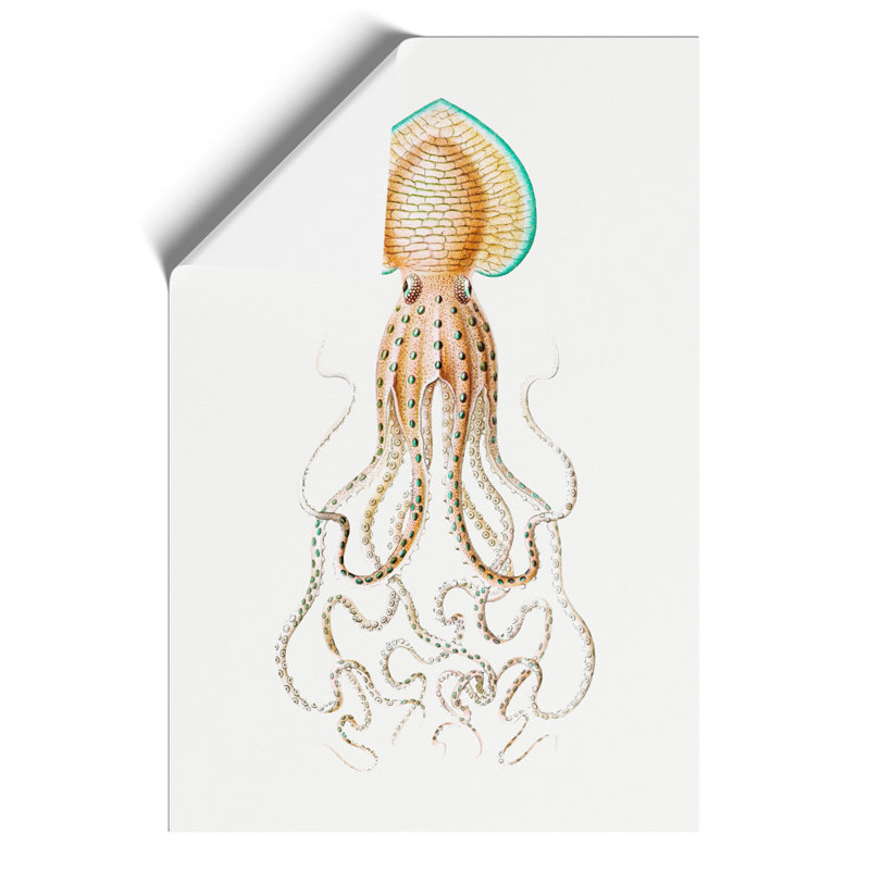 Vintage Squid Vol.1 by Ernst Haeckel - No Frame Painting, 59cm H x 42cm W x 0.1cm D