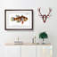 Great-Scaled Umber Fish by M.E. Bloch - Picture Frame Painting Print-55575256-55575258