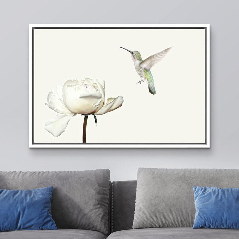 Animaux, colibri vole sur une fleur d'œillet blanc sur toile, H 16 po x l 24 po x P 1,5 po, Cadre blanc