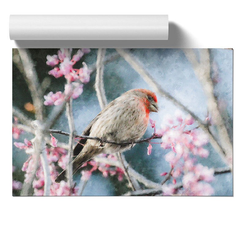 A House Finch Bird Painting - Frameless Print, 42cm H x 59cm W x 0.1cm D
