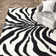 Schell Animal Print Wool Area Rug