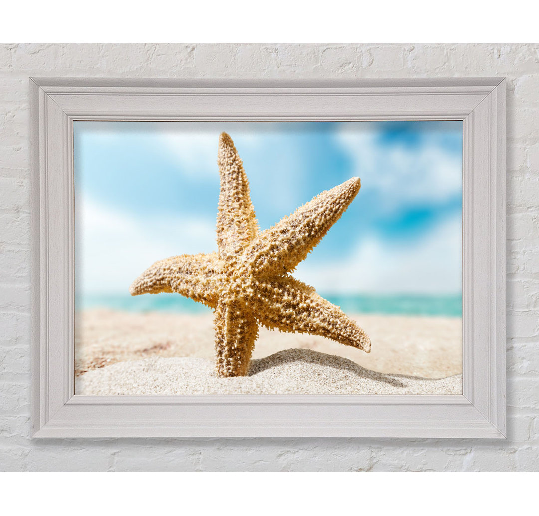 Starfish In Detail Sands Gerahmter Druck