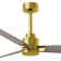Alessandra Outdoor Ceiling Fan