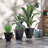 Kise Pot Planter-323524643-322665829