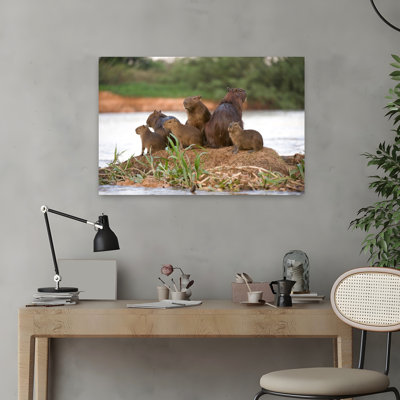 Capybara Hydrochoerus Hydrochaeris Family On A Rock Three Brothers River Meeting Of The Waters State Park Pantanal Wetlands Brazil Abstract Contemp...