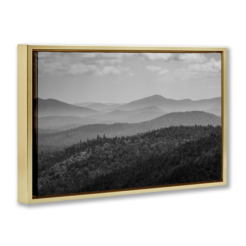 Cadre flottant Misty Adirondack Mountains, conception de James Rodewald, H 21 po x l 31 po, Cadre flottant métallique doré