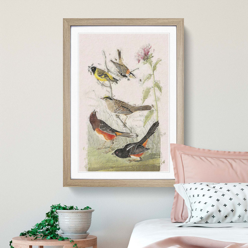 A Selection of Birds by John Audubon - Framed Print, 63cm H x 45cm W x 2cm D, Oak Framed