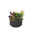 Faux Succulent-850935516