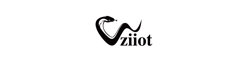 Logo WZIIOT