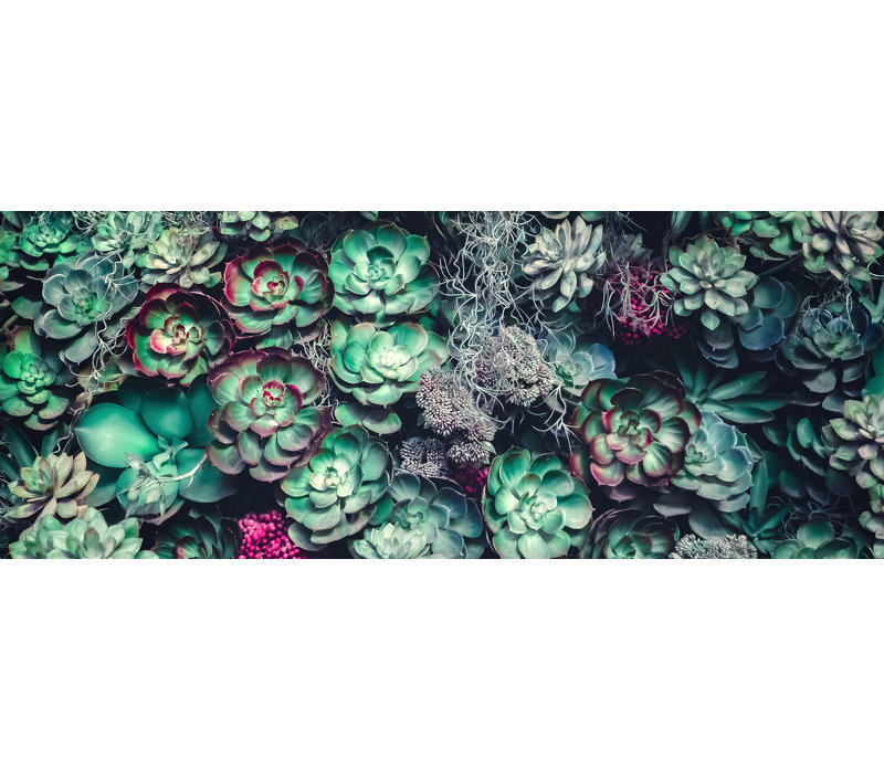 Vertical GardenI GLA2274 1 Piece Wall Art on Glass