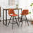 Crumbley Danforth Kitchen Counter Height Stools-273034165