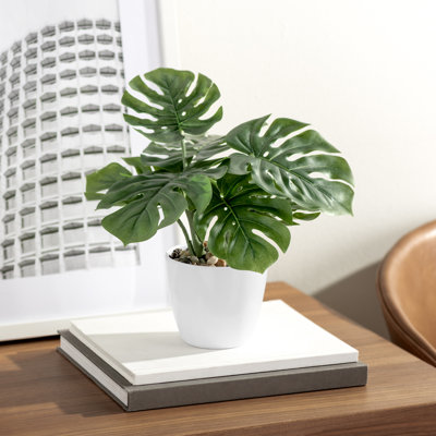 Plante artificielle 10 po Monstera en pot blanc