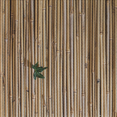 Indoor Rug