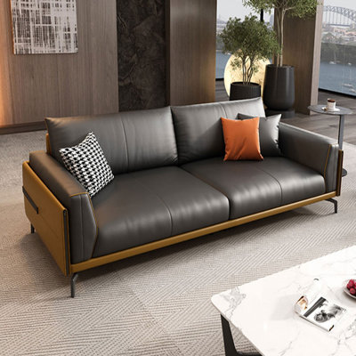 Coffee Genuine Leather Standard Sofa cushion Loveseat