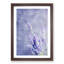 Pretty Purple Lavender - Framed Print-56925128-56925130