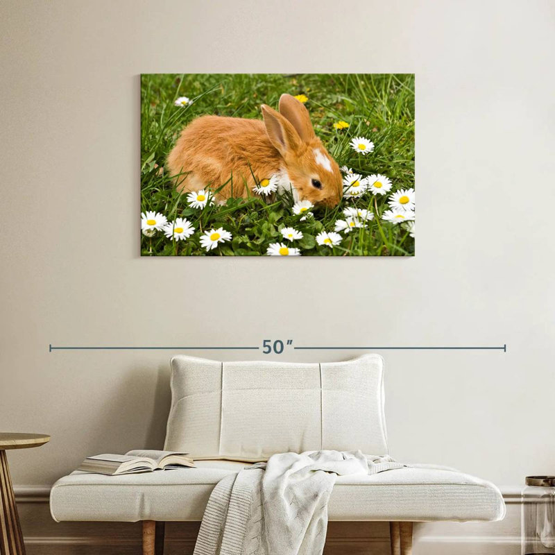 Brampt marguerites et lapin, H 24 po x l 36 po