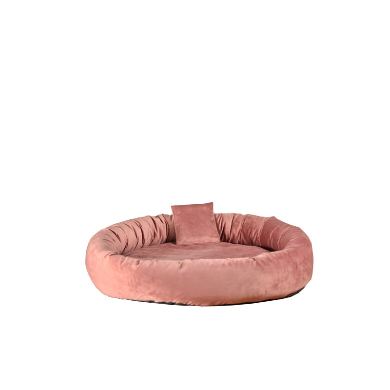 Polyester Pet Bed, Medium (50cm W x 50cm D x 15cm H), Rose