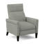 Recliner-119895321-119895400