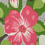 Magnolias Fabric-29991265